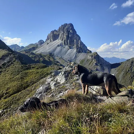 Haus Egger Apartamento