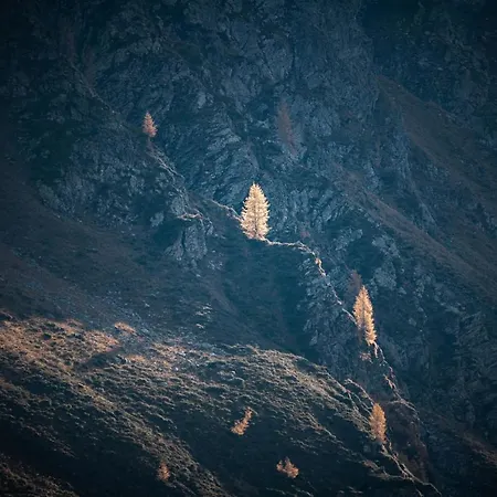 Apartamento Haus Egger