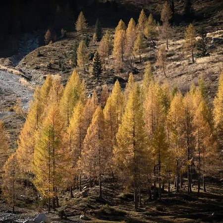 Apartamento Haus Egger *