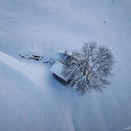 Appartement Haus Egger *