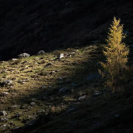 Apartamento Haus Egger *