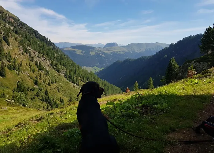 Lägenhet Haus Egger