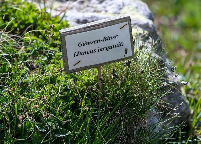 Lägenhet Haus Egger Kartitsch