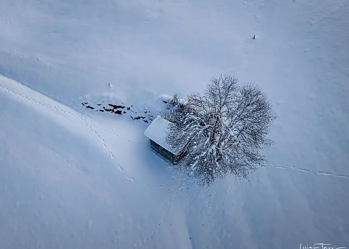 Lägenhet Haus Egger *