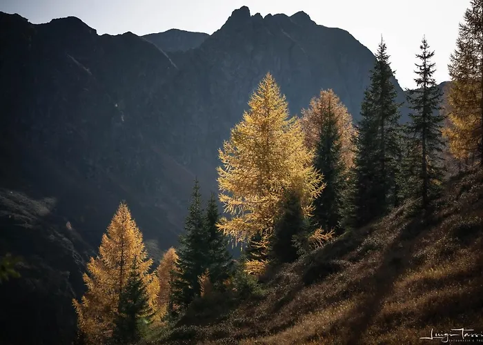 Haus Egger Appartement Kartitsch