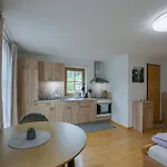 Apartamento Haus Egger *