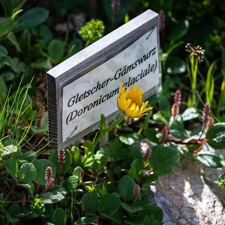 Apartmán Haus Egger