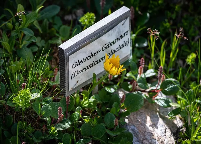 Apartmán Haus Egger