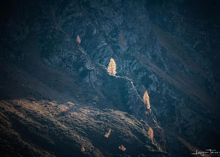 Apartmán Haus Egger