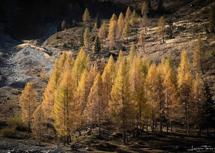 Apartmán Haus Egger *