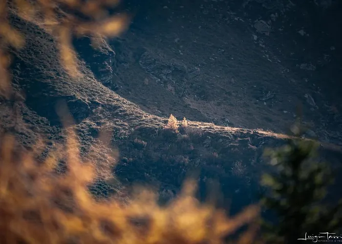 Haus Egger Apartmán