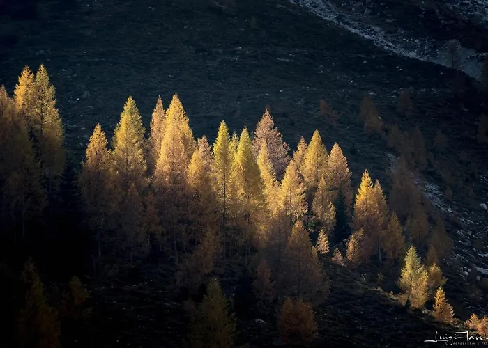 Haus Egger Apartmán *