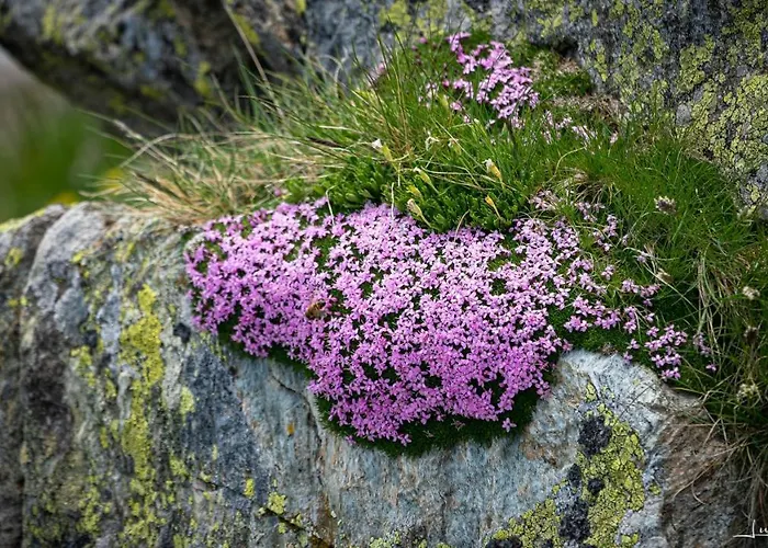 Apartmán Haus Egger