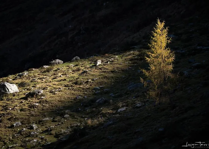 Apartmán Haus Egger *