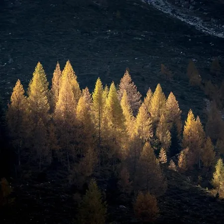 Haus Egger Διαμέρισμα *